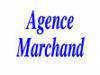 agence marchand a muret (detective-prive)